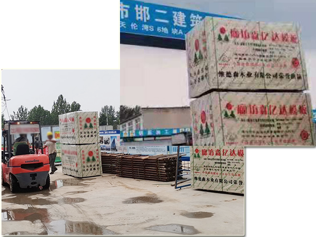 企业实力雄厚
